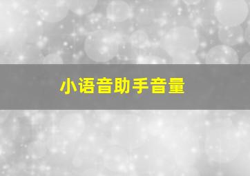 小语音助手音量