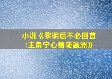 小说《黎明后不必回首:主角宁心蔷陆瀛洲》