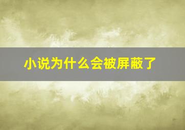 小说为什么会被屏蔽了