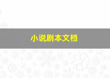 小说剧本文档