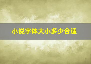 小说字体大小多少合适