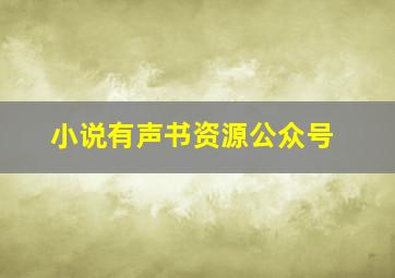 小说有声书资源公众号