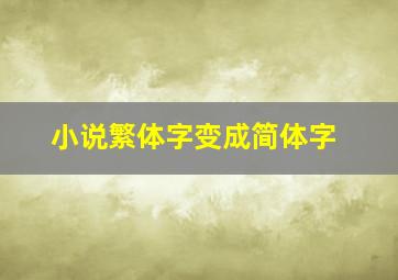 小说繁体字变成简体字