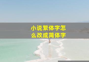 小说繁体字怎么改成简体字