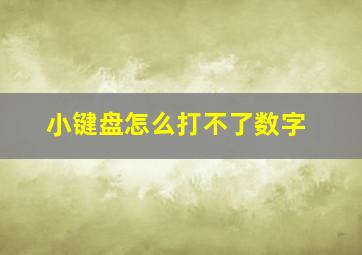 小键盘怎么打不了数字