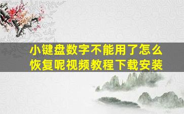 小键盘数字不能用了怎么恢复呢视频教程下载安装