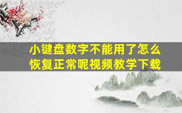 小键盘数字不能用了怎么恢复正常呢视频教学下载