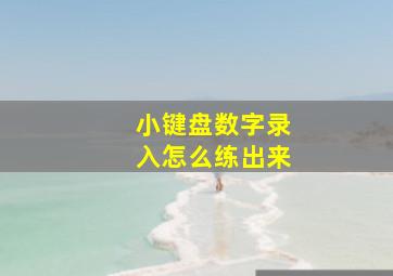 小键盘数字录入怎么练出来