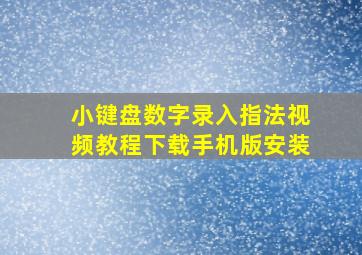 小键盘数字录入指法视频教程下载手机版安装