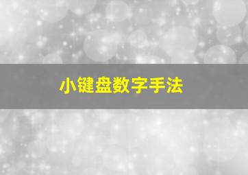 小键盘数字手法