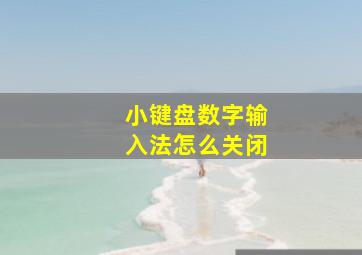 小键盘数字输入法怎么关闭