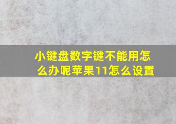 小键盘数字键不能用怎么办呢苹果11怎么设置