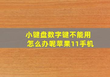 小键盘数字键不能用怎么办呢苹果11手机