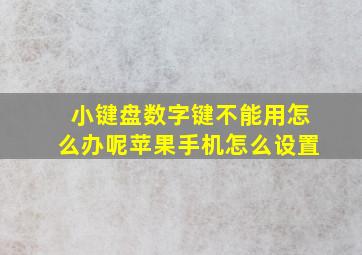 小键盘数字键不能用怎么办呢苹果手机怎么设置