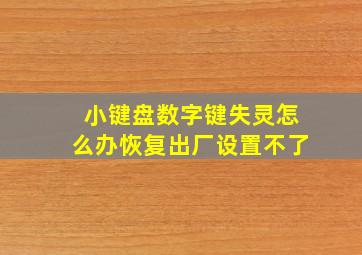 小键盘数字键失灵怎么办恢复出厂设置不了