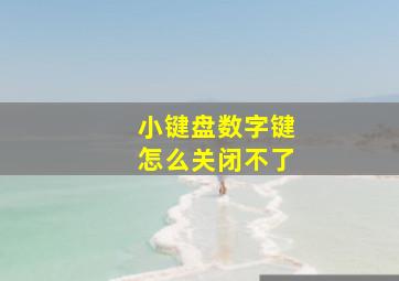 小键盘数字键怎么关闭不了