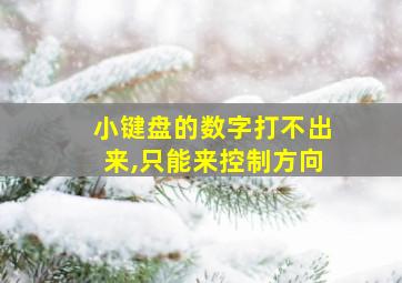 小键盘的数字打不出来,只能来控制方向