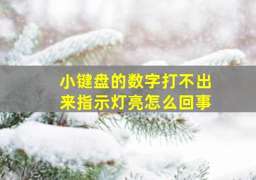 小键盘的数字打不出来指示灯亮怎么回事