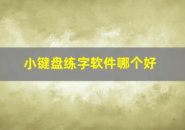 小键盘练字软件哪个好