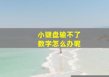 小键盘输不了数字怎么办呢