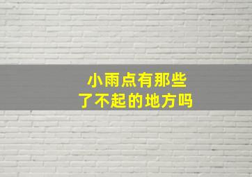 小雨点有那些了不起的地方吗