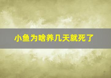 小鱼为啥养几天就死了