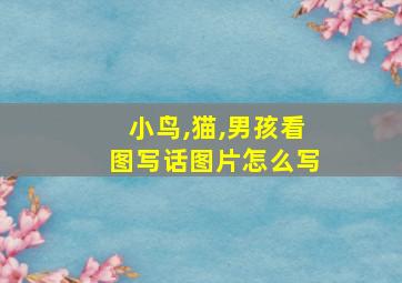 小鸟,猫,男孩看图写话图片怎么写