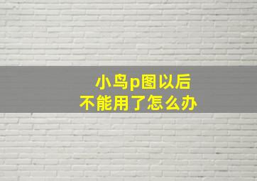 小鸟p图以后不能用了怎么办