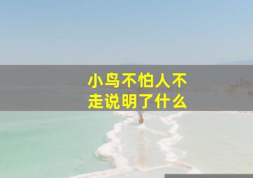 小鸟不怕人不走说明了什么