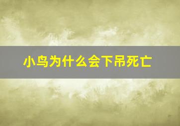 小鸟为什么会下吊死亡