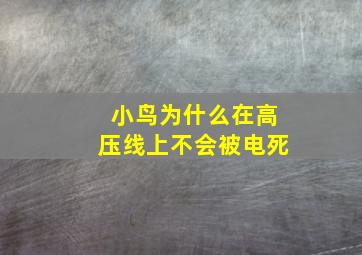 小鸟为什么在高压线上不会被电死