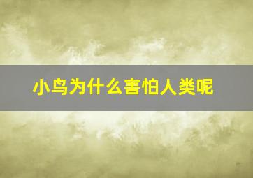 小鸟为什么害怕人类呢