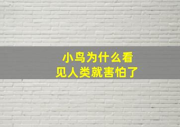 小鸟为什么看见人类就害怕了