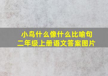 小鸟什么像什么比喻句二年级上册语文答案图片