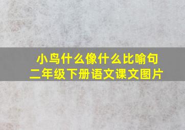 小鸟什么像什么比喻句二年级下册语文课文图片