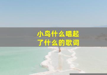 小鸟什么唱起了什么的歌词