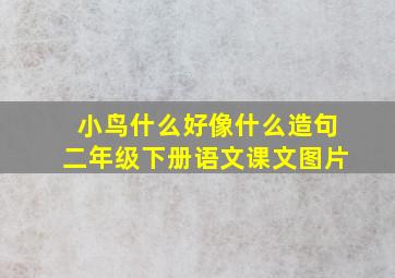 小鸟什么好像什么造句二年级下册语文课文图片