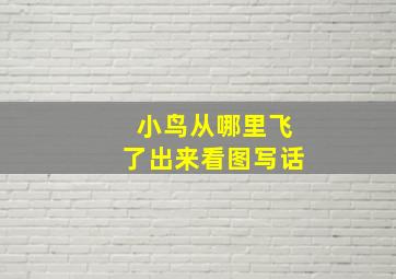 小鸟从哪里飞了出来看图写话