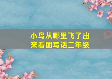 小鸟从哪里飞了出来看图写话二年级