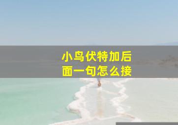 小鸟伏特加后面一句怎么接