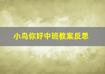 小鸟你好中班教案反思