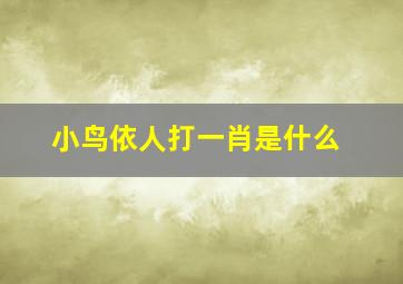 小鸟依人打一肖是什么