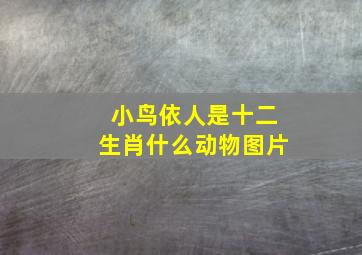 小鸟依人是十二生肖什么动物图片