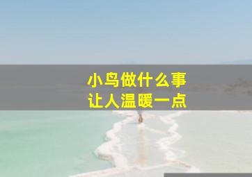 小鸟做什么事让人温暖一点