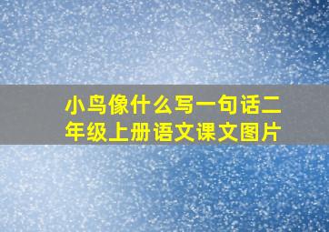 小鸟像什么写一句话二年级上册语文课文图片