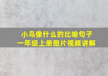 小鸟像什么的比喻句子一年级上册图片视频讲解