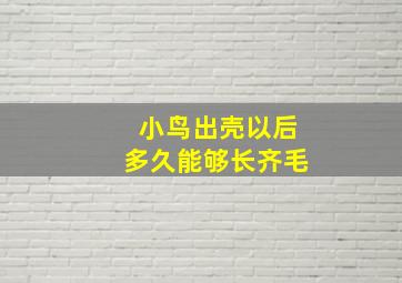 小鸟出壳以后多久能够长齐毛