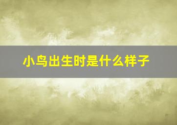 小鸟出生时是什么样子