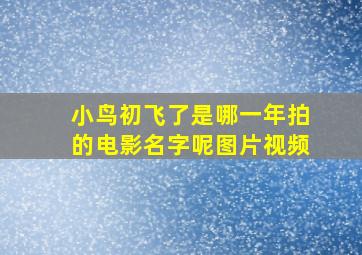 小鸟初飞了是哪一年拍的电影名字呢图片视频