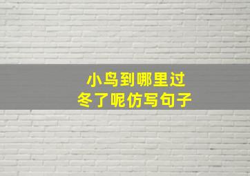 小鸟到哪里过冬了呢仿写句子